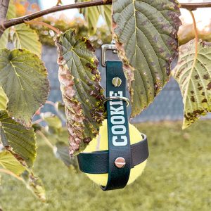 Ballhalter