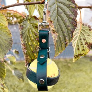 Ballhalter – Bild 2