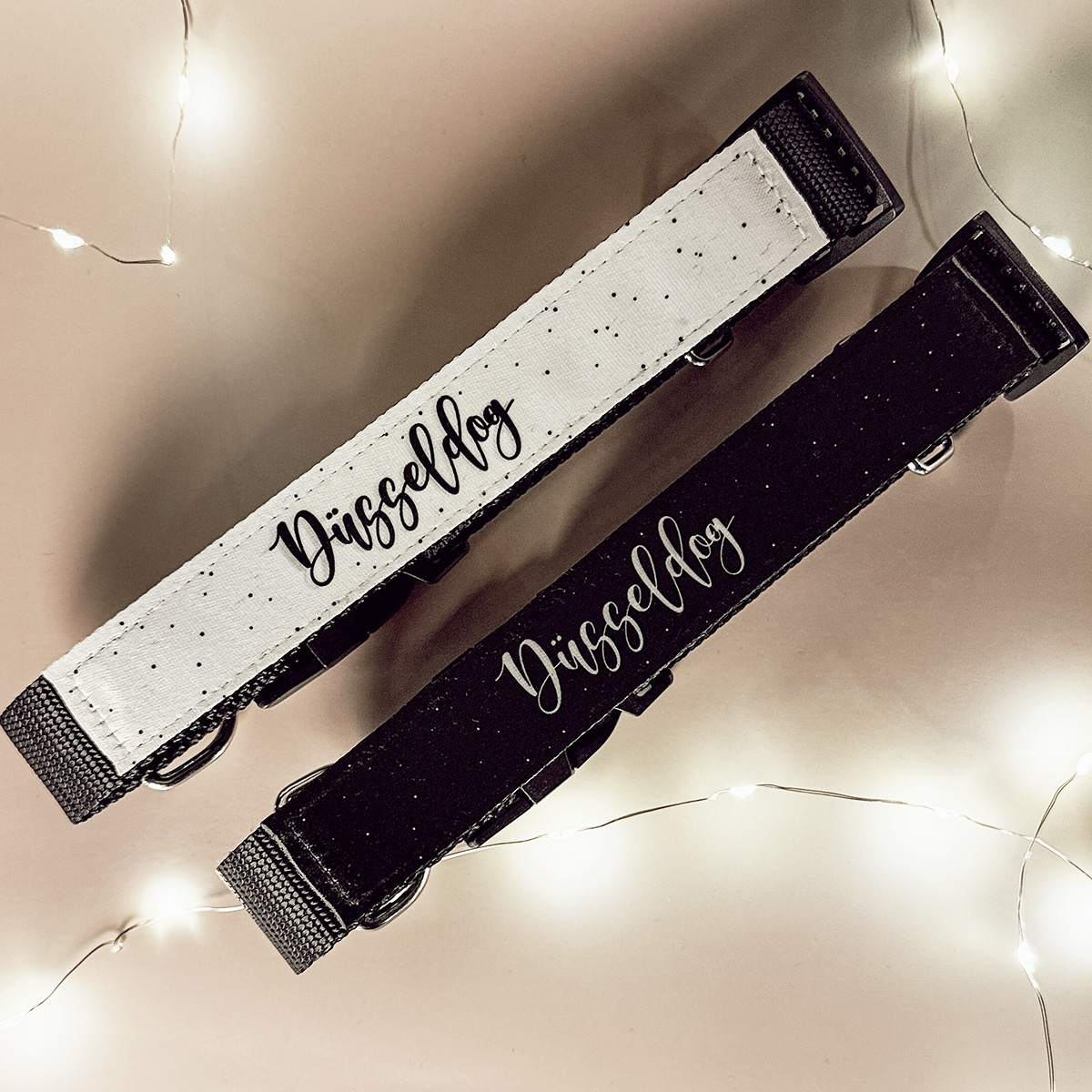 Zwei personalisierte Hundehalsbänder in Schwarz und Weiß mit Düsseldog Druck, dekoriert mit Lichterkette